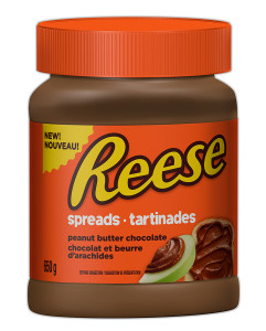 Snack Ideas with New Reese Spreads #DoYouSpoon
